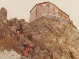 1980 Bertol