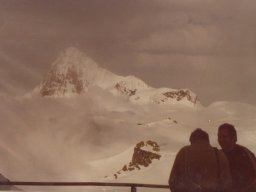 1980 Bertol