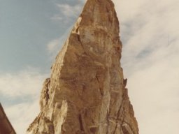 1980 Bertol