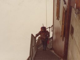 1980 Bertol