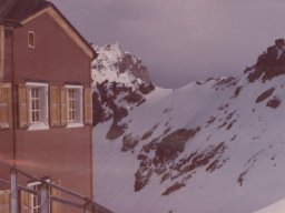 1980 Bertol