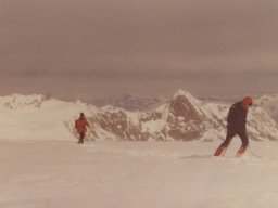 1980 Bertol