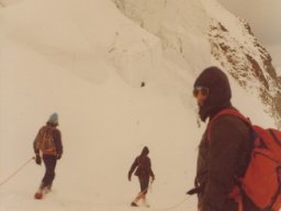 1980 Bertol