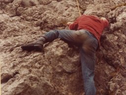 1981 Gelten