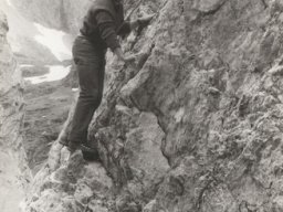1981 Gelten