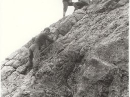 1981 Gelten