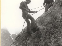 1981 Gelten