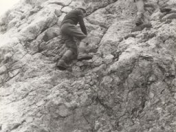 1981 Gelten