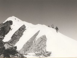 1981 Gelten