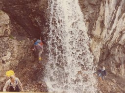 1981 Gelten