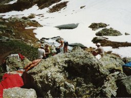 1984 Bellecote