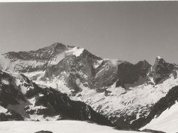 1984 Bellecote