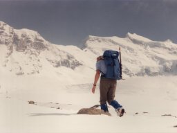 1987 Panossiere