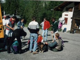 1990 Mont Dolent
