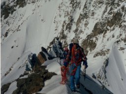 1990 Mont Dolent