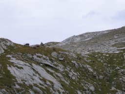 2006 Wildstrubel