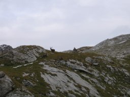 2006 Wildstrubel