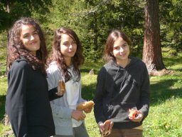 2009 Haute Cime