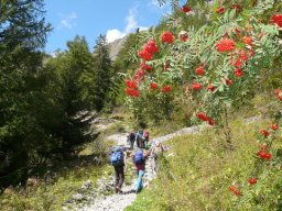2009 Haute Cime
