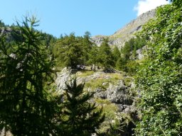 2009 Haute Cime
