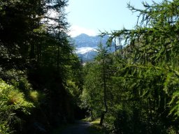 2009 Haute Cime