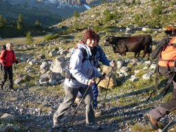 2009 Haute Cime