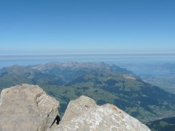 2009 Haute Cime
