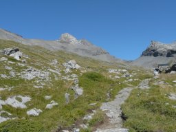 2009 Haute Cime