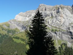2009 Haute Cime