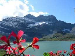 2009 Haute Cime