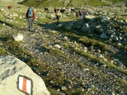 2009 Haute Cime