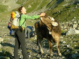 2009 Haute Cime