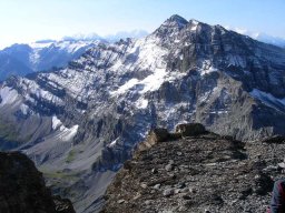 2009 Haute Cime