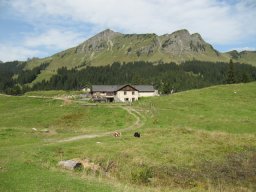 2011 Oldenhorn