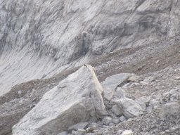 2011 Oldenhorn