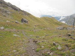 2011 Oldenhorn