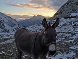 2017 Mont Blava
