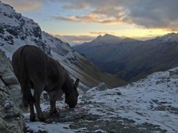 2017 Mont Blava