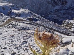 2017 Mont Blava