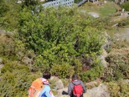 2017 Mont Blava